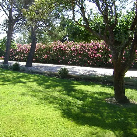 Hotel Logis Des Granges Arlés