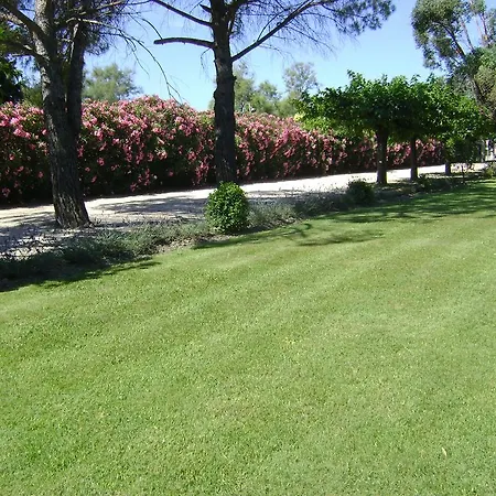 Logis Des Granges Arlés